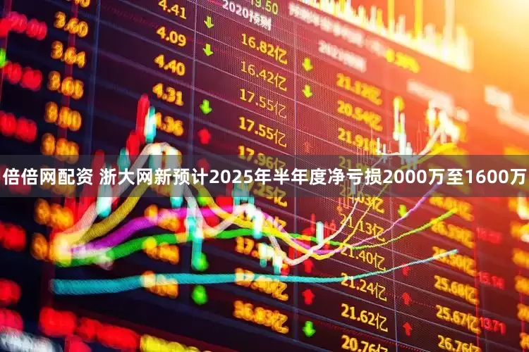 倍倍网配资 浙大网新预计2025年半年度净亏损2000万至1600万